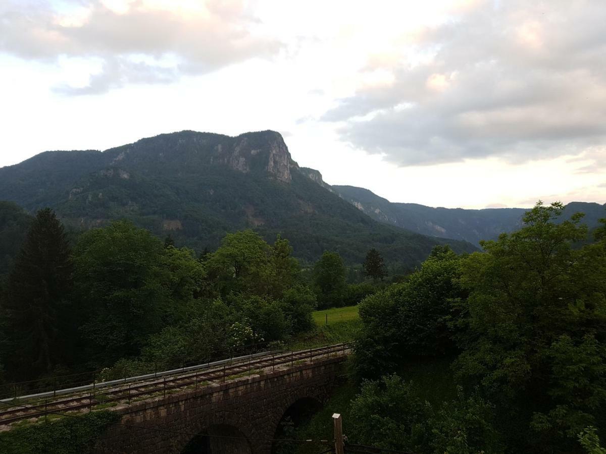 Apartmaji Zupan Bohinjska Bela Extérieur photo