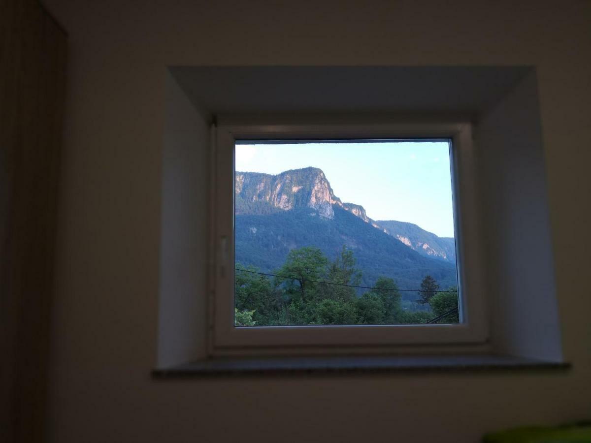 Apartmaji Zupan Bohinjska Bela Extérieur photo